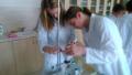 dsc-0812-1-
