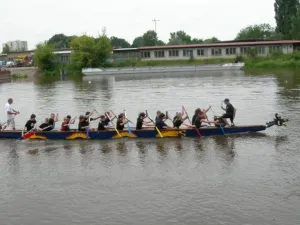 žáci