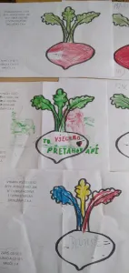 Reflexe prvňáčků II
