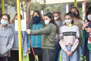 195371610-156756533033755-5222735055383735174-n