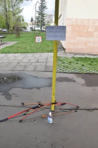 196469204-627398318660672-8805985662772323497-n