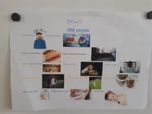 my-day-project-3