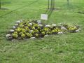 img-7345
