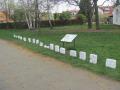 img-7373