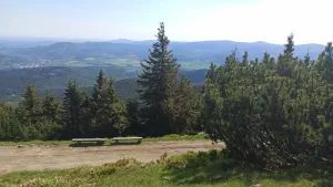 img-20220603-101355
