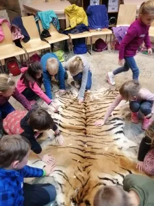 ZOO 2.A