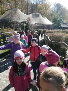 ZOO 2.A