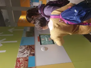 tématické hry