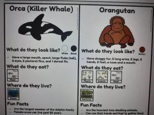 Information