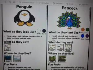 Information 2