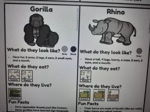 Information 3