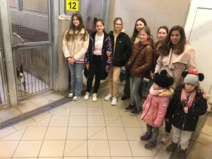 img-20230404-wa0029
