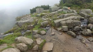 img-20230609-122131