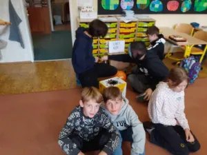 4.B