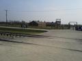 auschwitz3