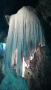 img-20170529-102531