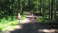 wp-20170614-15-37-28-pro