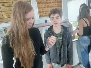 základní škůdci v obilovinách