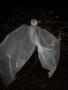 img-20171103-174902