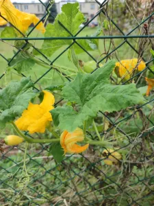 img-20250923-115601