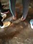 img-20190417-101512