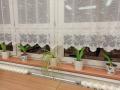 img-20200220-183531