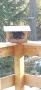 img-20200323-wa0019-2-