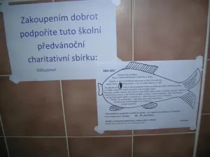 Kam s výtěžkem