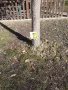 img-20220412-wa0004