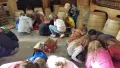ZOO 2.B
