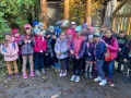 ZOO 2.C