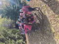 ZOO 2.C