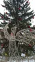img-20221219-120932