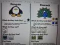 Information 2