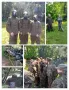 paintball
