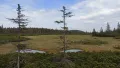 img-20230607-155402