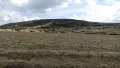 img-20230608-135620