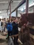 img-20231004-091539