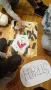 img-20231011-104054