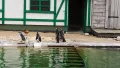 img-20240419-095812