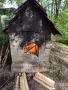 img-20240423-085806