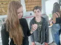 základní škůdci v obilovinách