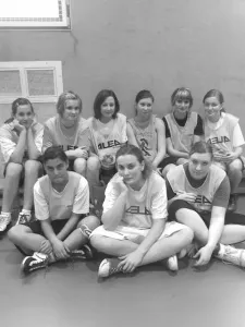 basket 17 2