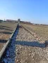 img-20250303-wa0015