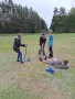 6.C