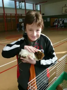 přehlídka zvířatek 6