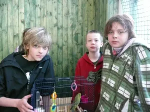 přehlídka zvířatek 9