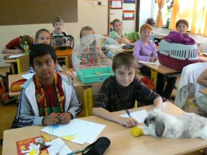 Pracujeme i s kamarády