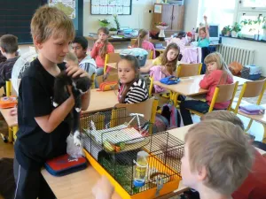 Radkovo koťátko