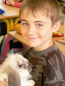 Rendův králíček